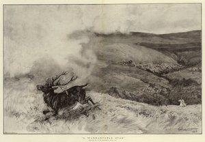 A Warrantable Stag by Robert Walker Macbeth